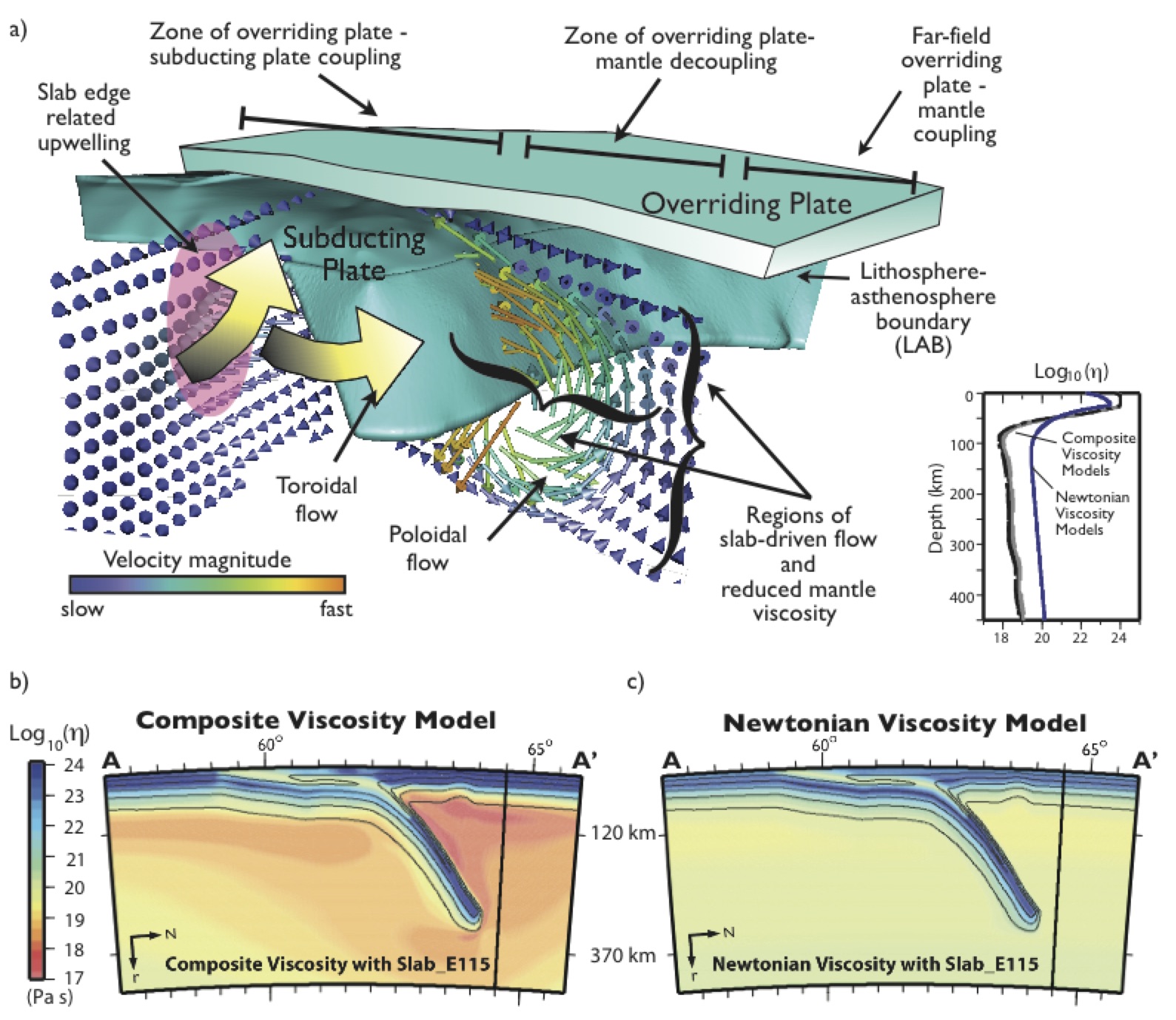 mantle deformation