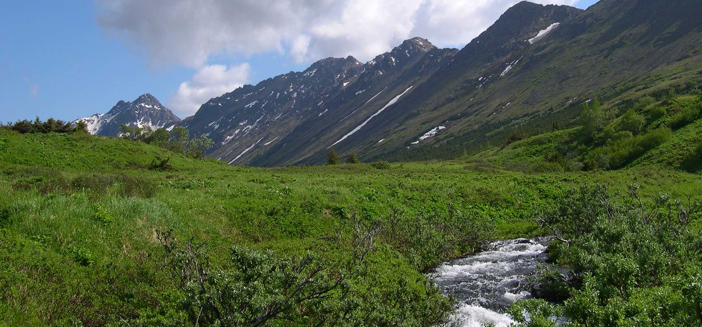 Campbell Creek, AK